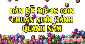 Dàn đề đb 48 con chuẩn nuôi đánh quanh năm